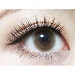 RICH STANDARD Premium TokyoBrown 日抛10片裝